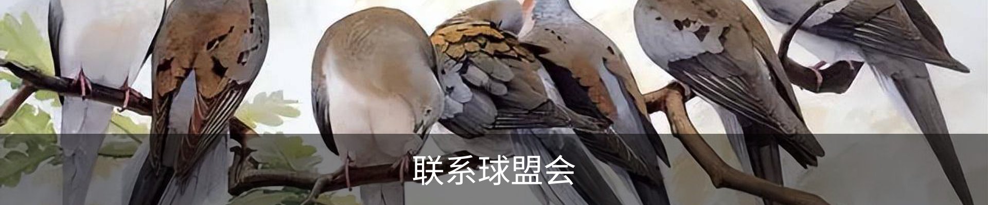 内页banner